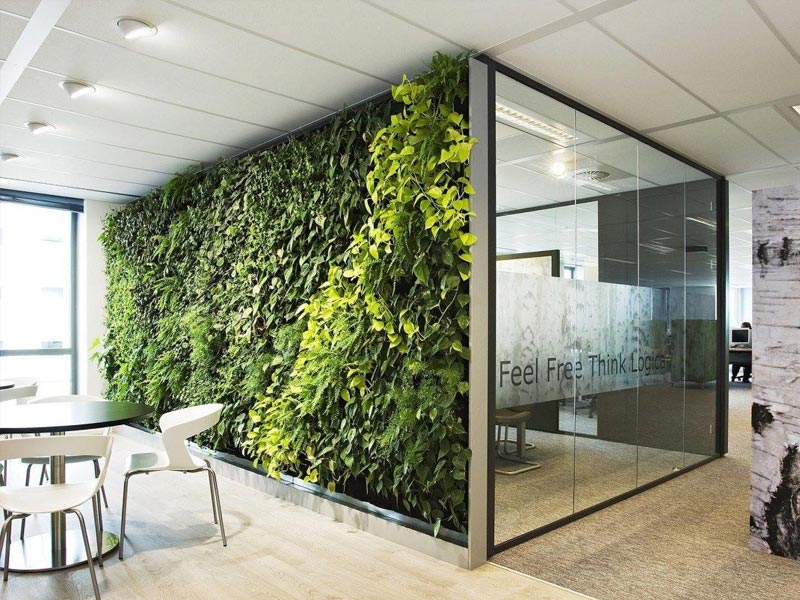 Mẫu thiết kế văn phòng Xanh bền vững 220m²