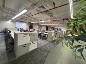 35 Decor cây cảnh trong văn phòng làm việc ở Thủ Đức | Trọng Design
