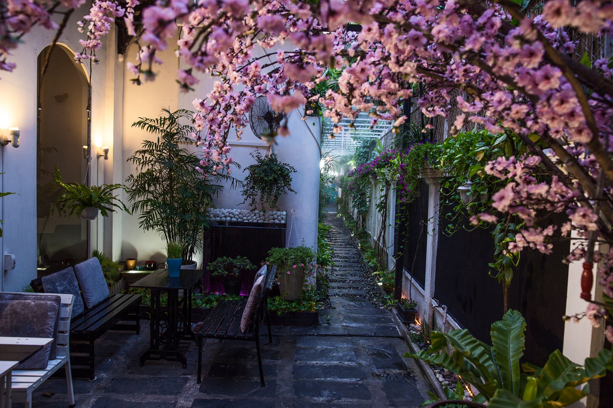Cafe Đen & Trắng Cafe Đen & Trắng