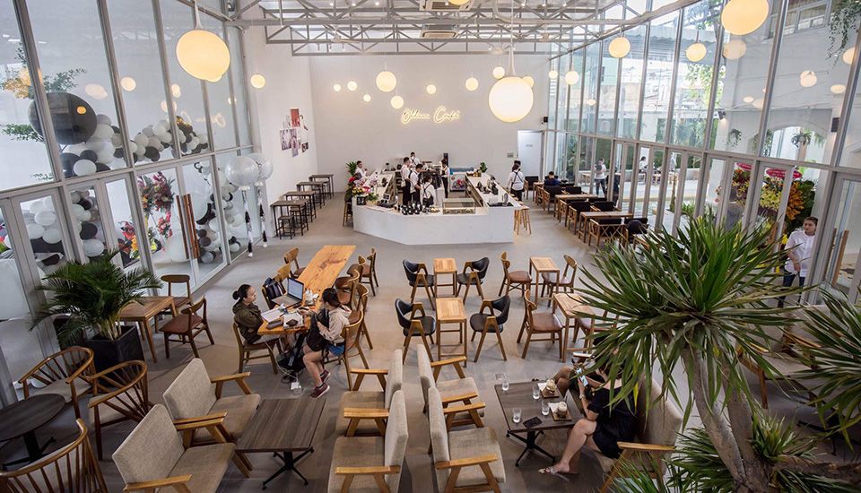 Ollin Cafe Ollin Cafe