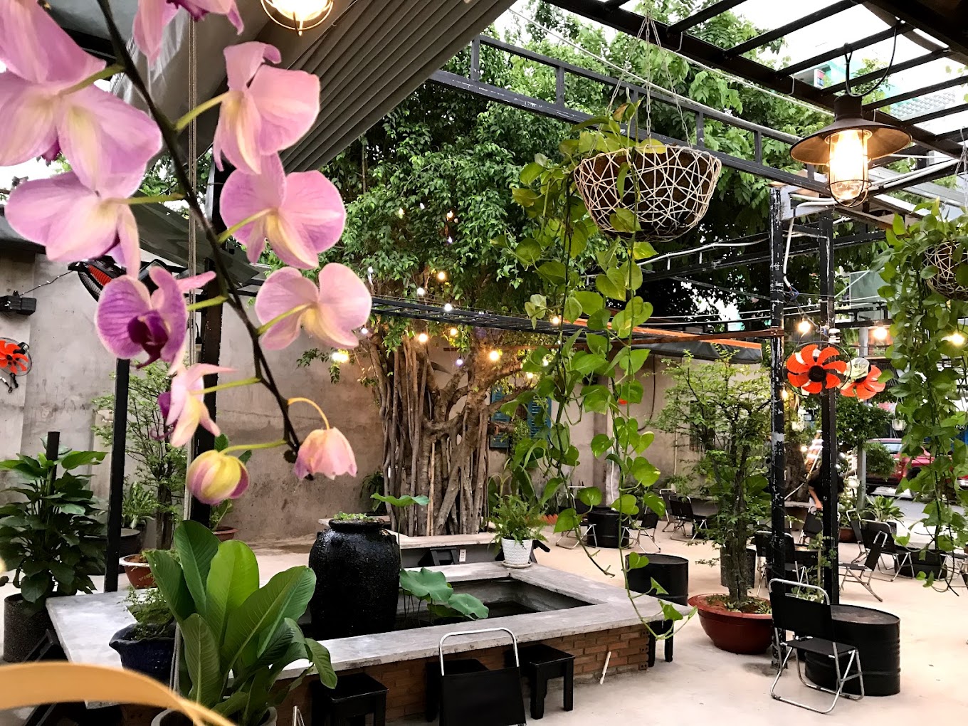 Viet'O Cafe Viet'O Cafe